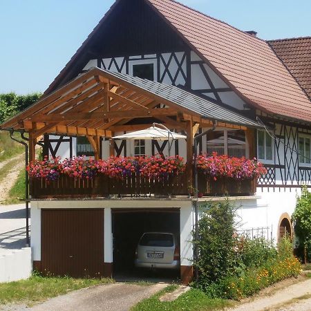 Steinhof Apartamento Oberkirch  Exterior foto