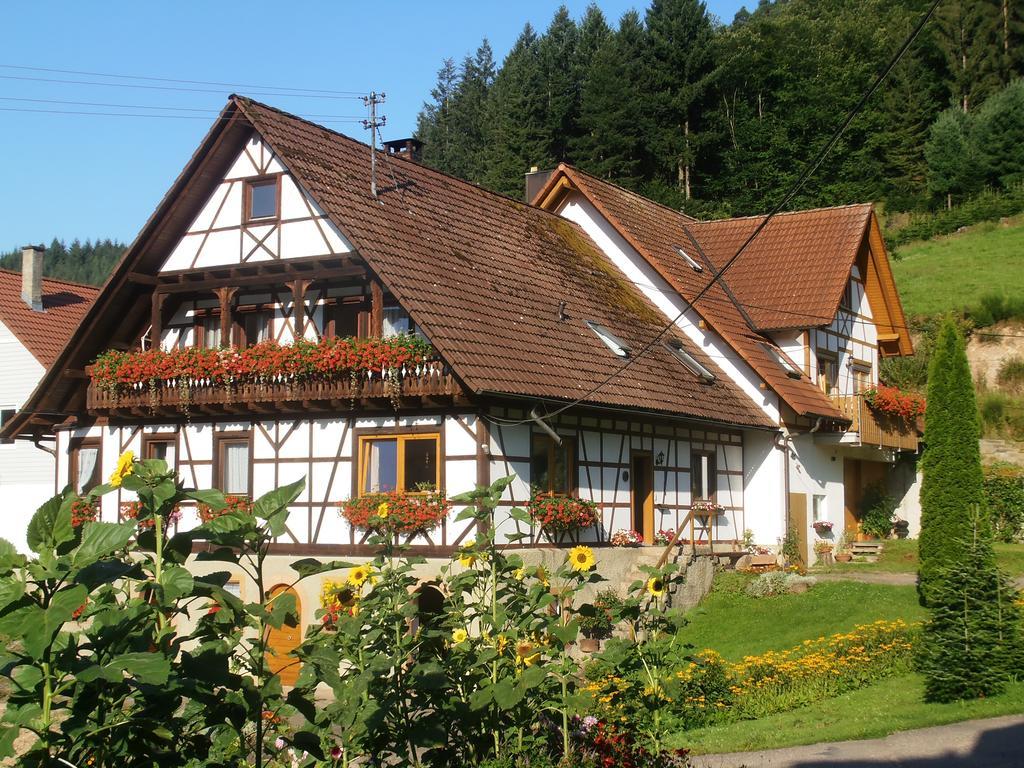 Steinhof Apartamento Oberkirch  Exterior foto