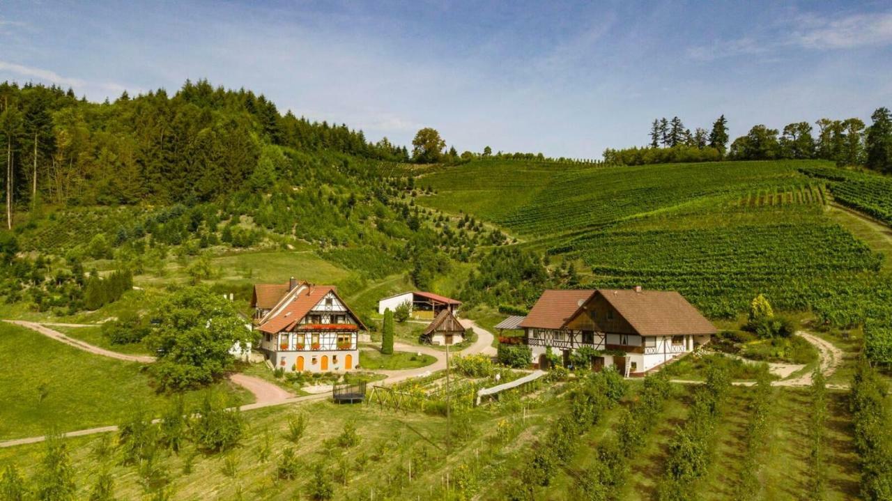 Steinhof Apartamento Oberkirch  Exterior foto