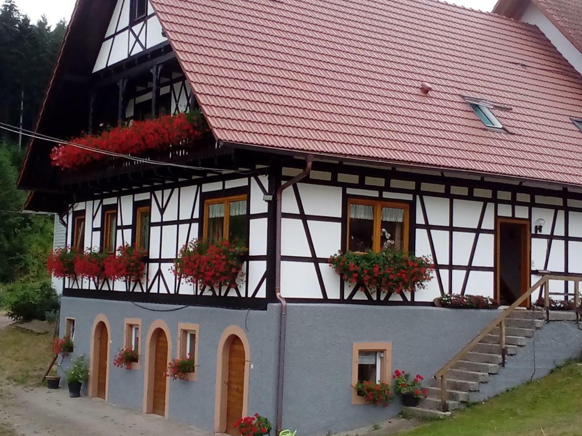 Steinhof Apartamento Oberkirch  Exterior foto